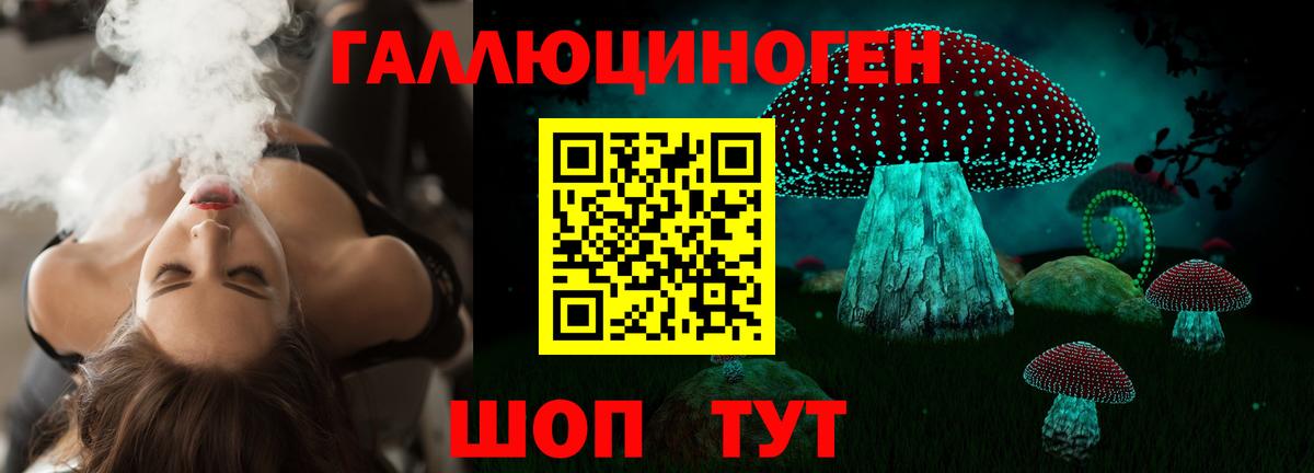 Галлюциногенные грибы Psilocybine cubensis Семилуки